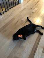 Free download DSC 1870.resized free photo or picture to be edited with GIMP online image editor