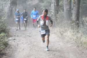 Free download DSC 1939 free photo or picture to be edited with GIMP online image editor