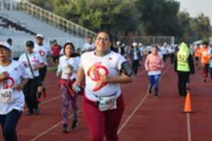 Free download DSC 2951 free photo or picture to be edited with GIMP online image editor