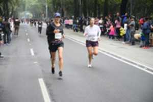 Free download DSC 6873 free photo or picture to be edited with GIMP online image editor