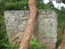 DSCF 6591 GIMP online editor free Free download DSCF 6591 free photo or picture to be edited with GIMP online image editor