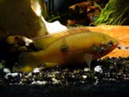 Free download DSCF 8219 free photo or picture to be edited with GIMP online image editor