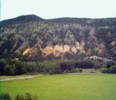 Free download DSCI 0197 1 free photo or picture to be edited with GIMP online image editor