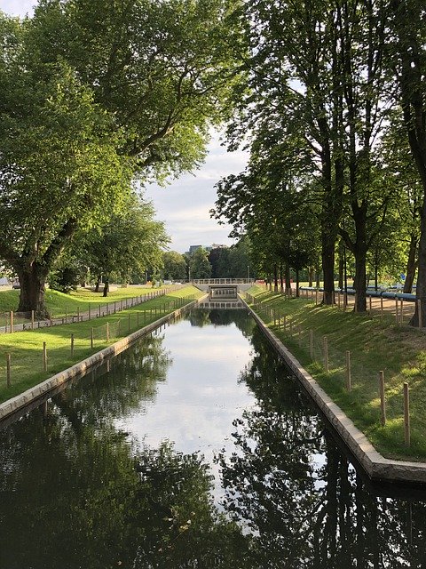 Gratis download Düsseldorf River Trees - gratis foto of afbeelding om te bewerken met GIMP online afbeeldingseditor