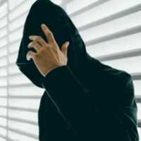 Free download DTClip free photo or picture to be edited with GIMP online image editor