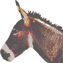 Dubious Derby  screen for extension Chrome web store in OffiDocs Chromium