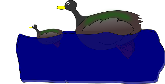 Free download Duck Duckling Bath - Free vector graphic on Pixabay free illustration to be edited with GIMP free online image editor