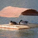 Duck Raft on the River  screen for extension Chrome web store in OffiDocs Chromium