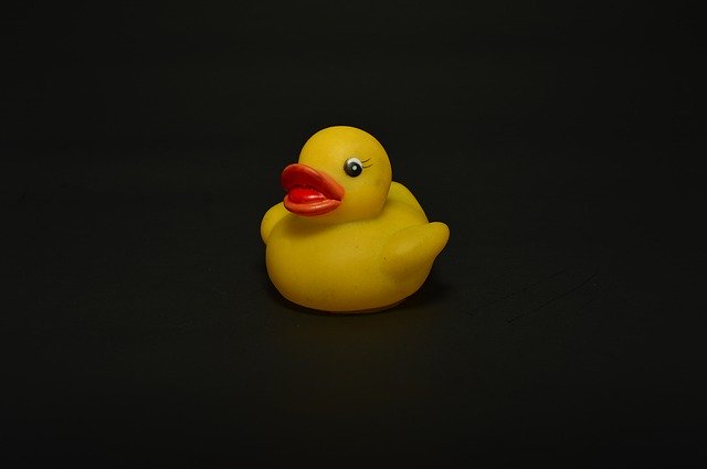 Free picture Duck Toy Adorable -  to be edited by GIMP free image editor by OffiDocs