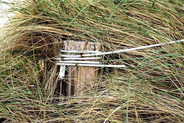 Muat turun percuma Dune Grass Dunes Wooden Posts - foto atau gambar percuma untuk diedit dengan editor imej dalam talian GIMP