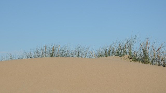Free picture Dunes North Sea Dutch -  to be edited by GIMP free image editor by OffiDocs