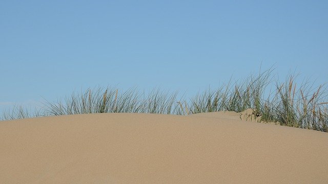 Free download Dunes North Sea Dutch -  free photo or picture to be edited with GIMP online image editor