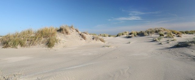 Muat turun percuma Dunes Sand Spiekeroog Frisian Timur - foto atau gambar percuma percuma untuk diedit dengan editor imej dalam talian GIMP