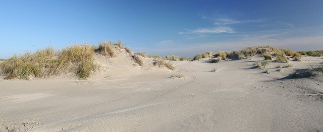 Free download Dunes Sand Spiekeroog East Frisian -  free free photo or picture to be edited with GIMP online image editor