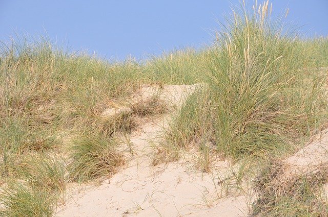 Unduh gratis Dune Sylt Nature - foto atau gambar gratis untuk diedit dengan editor gambar online GIMP