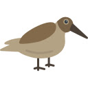 Dunlins Feeding at Dusk Shore  screen for extension Chrome web store in OffiDocs Chromium