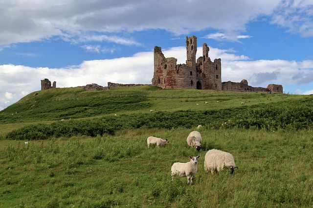 Free download dunstanburgh castle castle ruins free picture to be edited with GIMP free online image editor