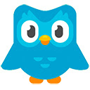 Duolingo Spaced Repetition  screen for extension Chrome web store in OffiDocs Chromium