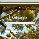 Durian Tree  screen for extension Chrome web store in OffiDocs Chromium