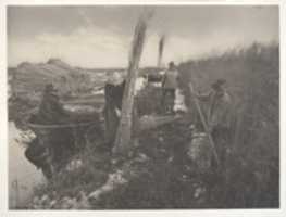 Free download During the Reed-Harvet free photo or picture to be edited with GIMP online image editor