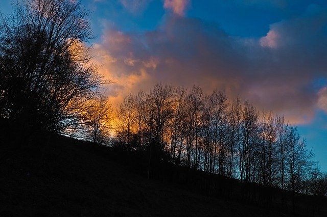 夕暮れの森の自然を無料でダウンロード-GIMPオンラインイメージエディターで編集できる無料の写真または画像