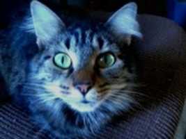 Free download Dusk free photo or picture to be edited with GIMP online image editor