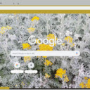 Dusty Miller Silver  screen for extension Chrome web store in OffiDocs Chromium