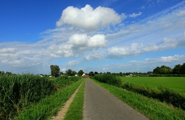 Free download dutch countryside rural road rushes free picture to be edited with GIMP free online image editor