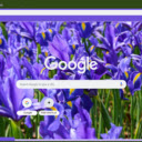 Dutch Iris  screen for extension Chrome web store in OffiDocs Chromium