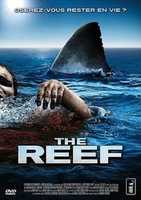 Free download dvd+the+reef free photo or picture to be edited with GIMP online image editor