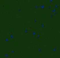 Free download Dwarf Fortress Adventurervault free photo or picture to be edited with GIMP online image editor