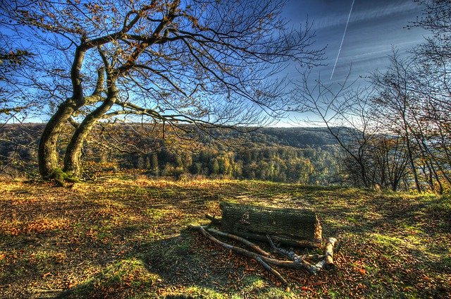 Free download Dwarf Tablelands Autumn -  free free photo or picture to be edited with GIMP online image editor