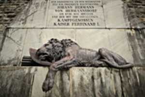 Free download Dying lion free photo or picture to be edited with GIMP online image editor