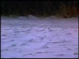 Free download Dying To Have Known, Cancer Cures free photo or picture to be edited with GIMP online image editor