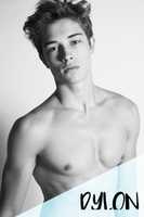 Free download DYLON free photo or picture to be edited with GIMP online image editor