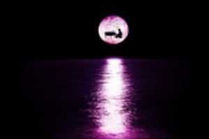 Free download E 2569 D 52 525 A 4 FC 0 8430 CD 212666 FBAB free photo or picture to be edited with GIMP online image editor