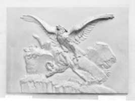 Free download Eagle and Chamois free photo or picture to be edited with GIMP online image editor