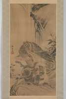 Free download Eagle Attacking a Mountain Lion free photo or picture to be edited with GIMP online image editor