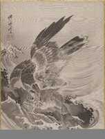 Free download Eagle Attacking Fish free photo or picture to be edited with GIMP online image editor