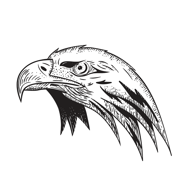 Download grátis Eagle Bird Predator De ilustração gratuita para ser editada com o editor de imagens online do GIMP