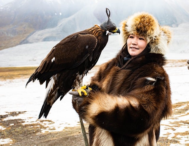 Free download eagle hunter eagle girl free picture to be edited with GIMP free online image editor