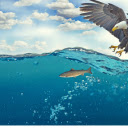 Eagle hunting  screen for extension Chrome web store in OffiDocs Chromium