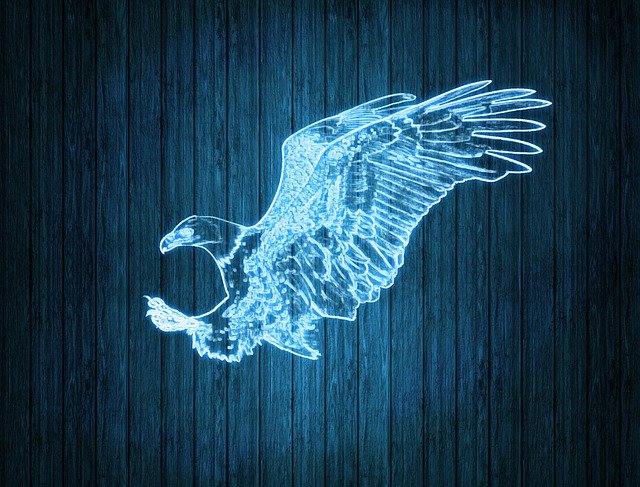 Free download Eagle Neon Light -  free illustration to be edited with GIMP free online image editor