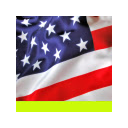 Eagle  USA Flag  screen for extension Chrome web store in OffiDocs Chromium