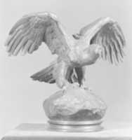 Free download Eagle with Wings Outspread free photo or picture to be edited with GIMP online image editor