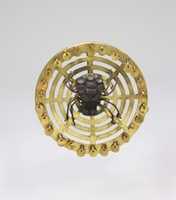 Free download Earflare Frontal, Spider free photo or picture to be edited with GIMP online image editor