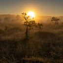 early morning sunrise  screen for extension Chrome web store in OffiDocs Chromium