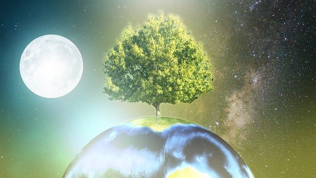 Free download Earth Precious Trees -  free illustration to be edited with GIMP free online image editor