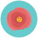 Earth White Flower  screen for extension Chrome web store in OffiDocs Chromium