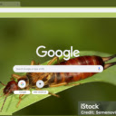 Earwig  screen for extension Chrome web store in OffiDocs Chromium